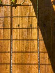 1ED46797 7D03 4584 B660 C1B63E051170