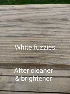 IMG 20230628 144333783 HDR~4